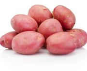 Újburgonya