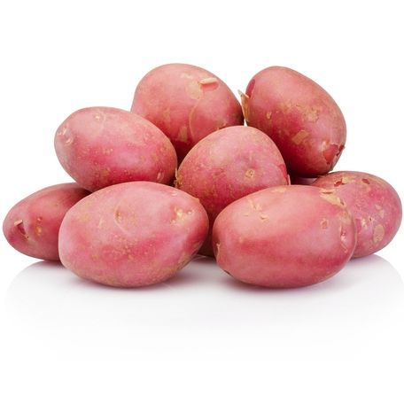 Újburgonya