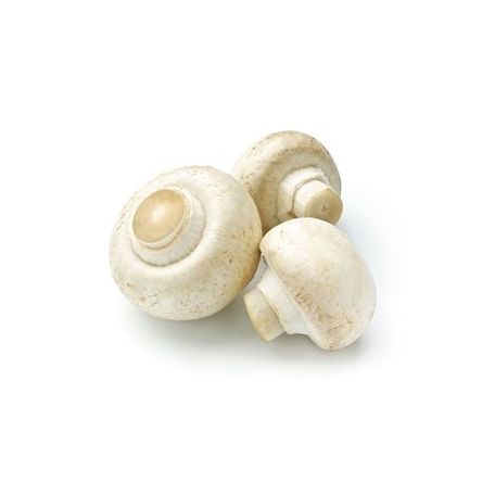 Csiperkegomba 6kg/karton
