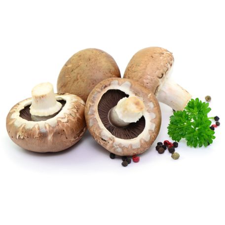 Barna Portobello gomba