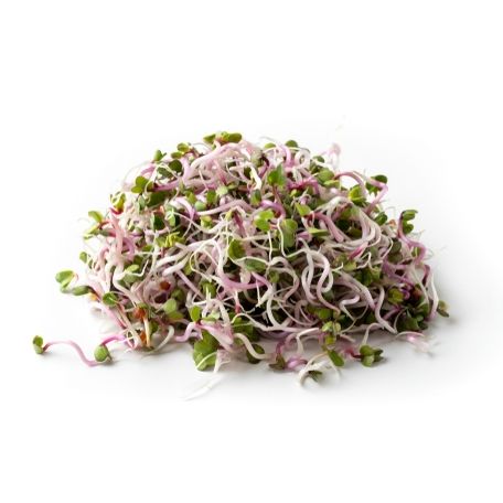 Retek csíra 50g