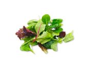 Bébisaláta mix 100g