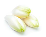 Endívia saláta I.o. 500g