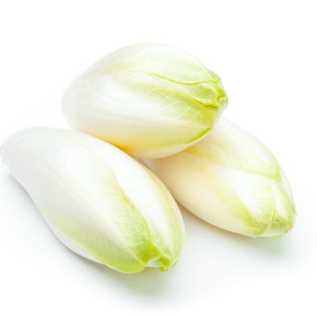 Endívia saláta I.o. 500g