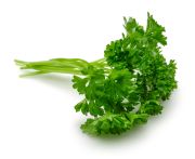 Fodros/francia petrezselyemzöld 10csomag/köteg