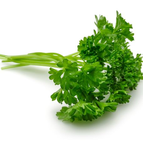 Fodros/francia petrezselyemzöld 10csomag/köteg