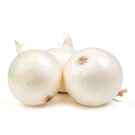 Fehérhagyma