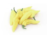 Lecsópaprika 