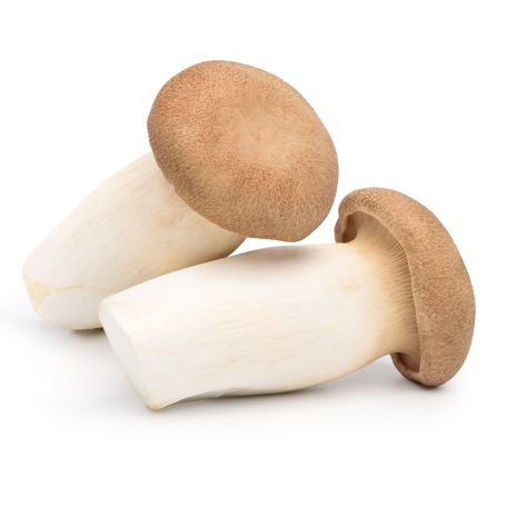 Ördögszekér gomba