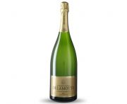 Delamotte - Blanc de Blancs champagne magnum 1,5l