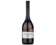 Bott Pince - Határi Furmint 2022 0,75l