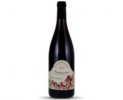 Sébastien Riffault - Sancerre Rouge Raudonas 2015 0,75l