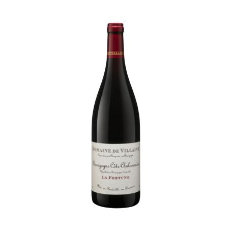Domaine de Villaine - Rully 1er Cru Rouge Cloux 2020/21 0,75l