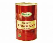 Univer sűrített paradicsom 28-30% 4350g