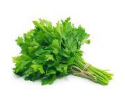 Petrezselyemzöld 10 csomag/köteg