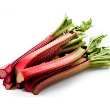 Rebarbara