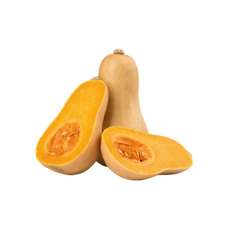 Sütőtök