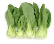Bébi pak choi