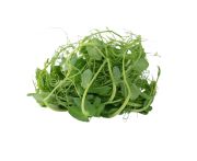 Borsó hajtás 80g