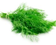 Kaporzöld 10db/köteg