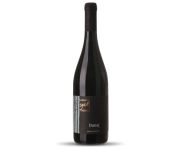 Kasnyik - Dunaj 2020 0,75l
