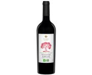 Cantine Sgarzi - Sangiovese 2020 0,75l