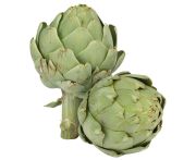 Nagy méretű articsóka