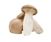 Ördögszekér gomba