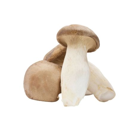 Ördögszekér gomba