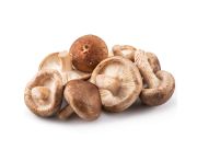 Shiitake gomba
