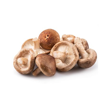 Shiitake gomba