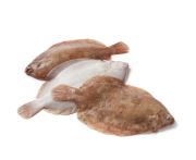 Nyelvhal egész 500/600