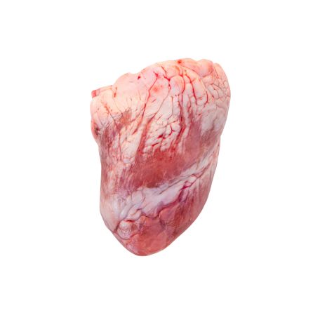 Borjú mirigy (szív)