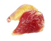 Fürj mell bőrrel 500g
