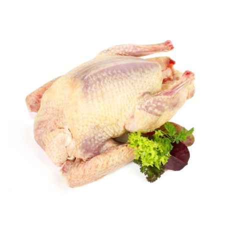 Francia fojtott galamb Royal 500/550g, pucolt