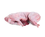 Francia nyúl díjnyertes pucolt 1,5kg