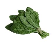 Kale káposzta levél - Zöld