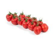 Koktél paradicsom fürtös (francia)