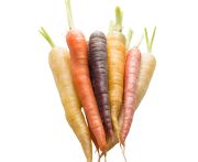 Mini répa mix csokorban FR (fehér, sárga, citromsárga, lila)