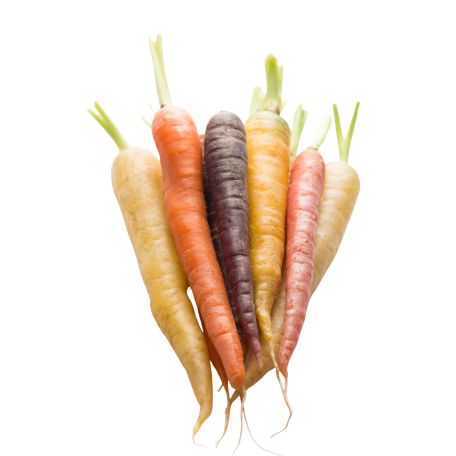 Mini répa mix csokorban FR (fehér, sárga, citromsárga, lila)