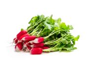 Mini retek hosszúkás