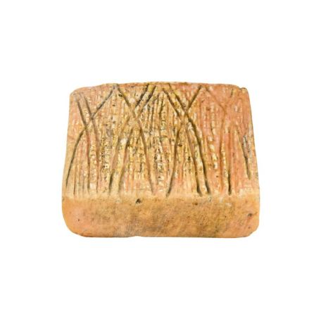 Taleggio sajt 2kg