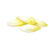 Endívia saláta sárga