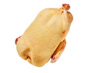 Dombes-i kiskacsa 1,8/2,2kg, pucolt, zsigerelt