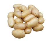 Grenaille burgonya 20-40mm