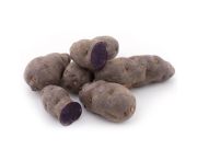 Lila burgonya 35-55mm