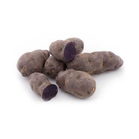 Lila burgonya 35-55mm