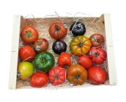 Paradicsom különleges válogatás