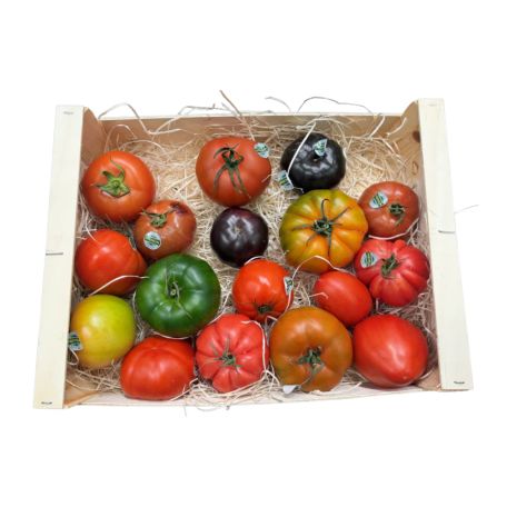 Paradicsom különleges válogatás