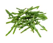 Tengeri spárga 1kg (Izrael/Franciaország)